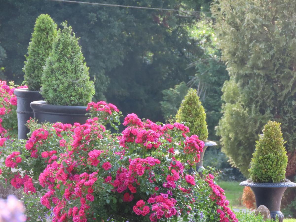 Noan Country House B&B Cashel  Kültér fotó