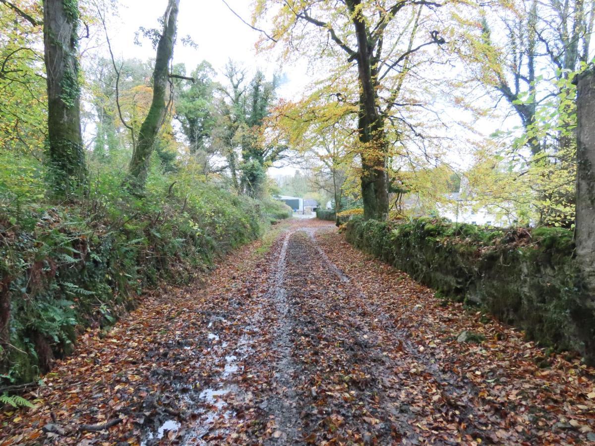 Noan Country House B&B Cashel  Kültér fotó